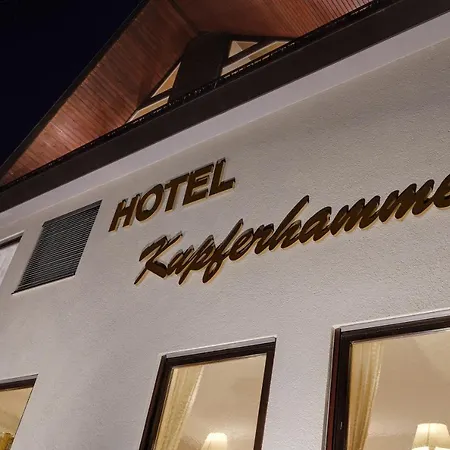 酒店 Am Kupferhammer 蒂宾根